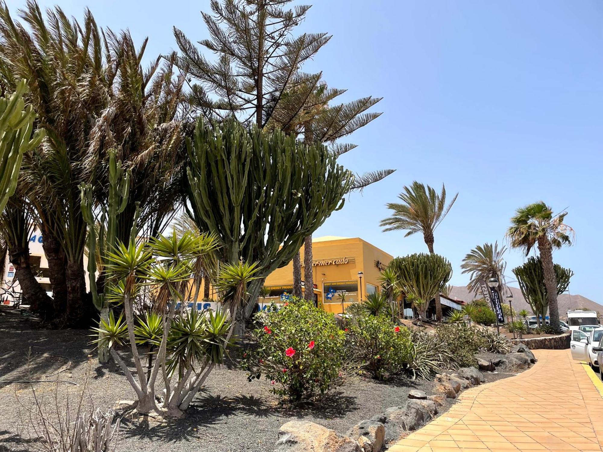 Apartament Casa Relax Papagayo Corralejo Irent Fuerteventura Zewnętrze zdjęcie